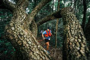 BIB: 
                            <button type="button" onclick="openModal(25394113)" class="btn btn-primary btn-sm float-right btn-popup" data-toggle="modal" data-target=".modal-high-quality">
                        <i class="fas fa-shopping-cart"></i> Add to Cart
                    </button>
                                            <button type="button" onclick="isThisMe(25394113, true)" class="btn btn-success btn-sm float-right btn-popup btn-isme hidden" data-toggle="tooltip" data-placement="bottom" title="นี่คือรูปของคุณใช่ไหม คลิกที่นี่เพื่อเอาเข้าอัลบั้ม">
                        <i class="fas fa-plus"></i> Add to album
                    </button>
                    <button type="button" onclick="isThisMe(25394113, false)" class="btn btn-warning btn-sm float-right btn-popup btn-isnotme hidden">
                        <i class="fas fa-ban"></i> Remove from album
                    </button>